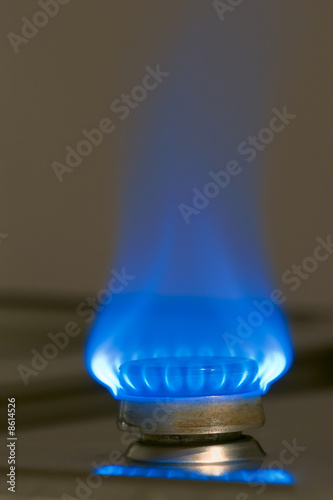 Blue Gas Flame