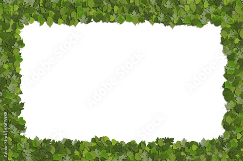 Green leaf framework