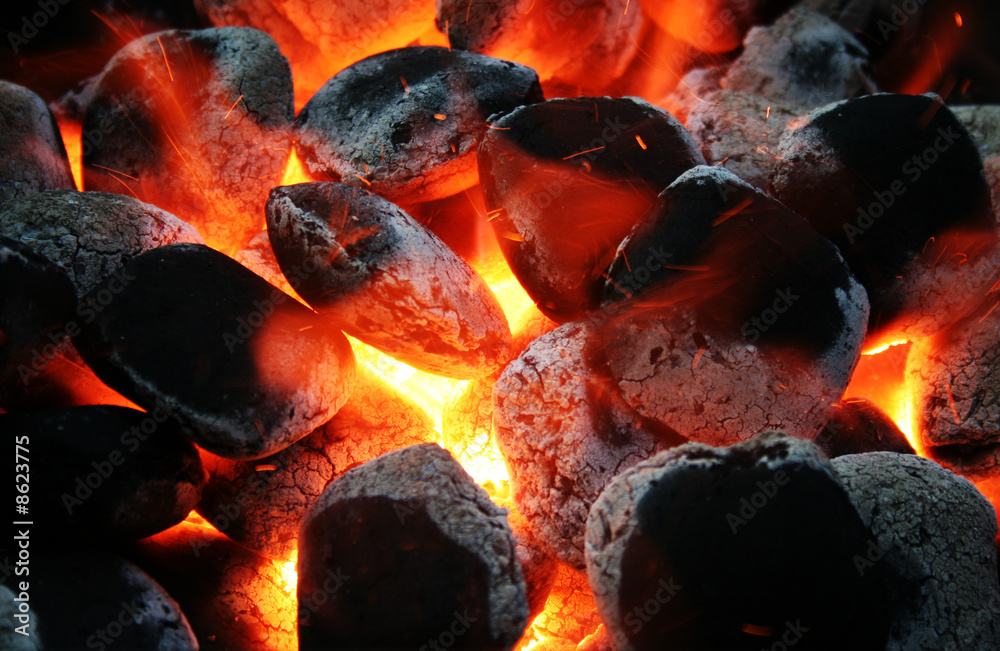 Grillkohle () Grillkohle