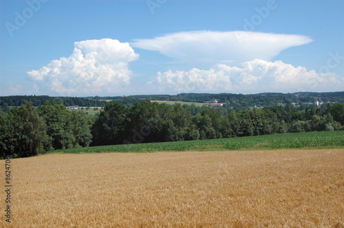 Ambosswolke über Getreidefeld
