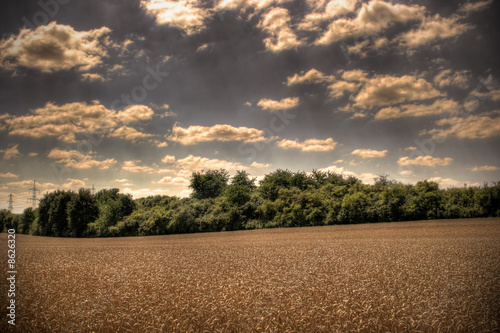 Landscape HDR