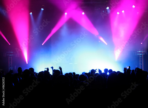 Cheering crowd at concert, musicians on the stage