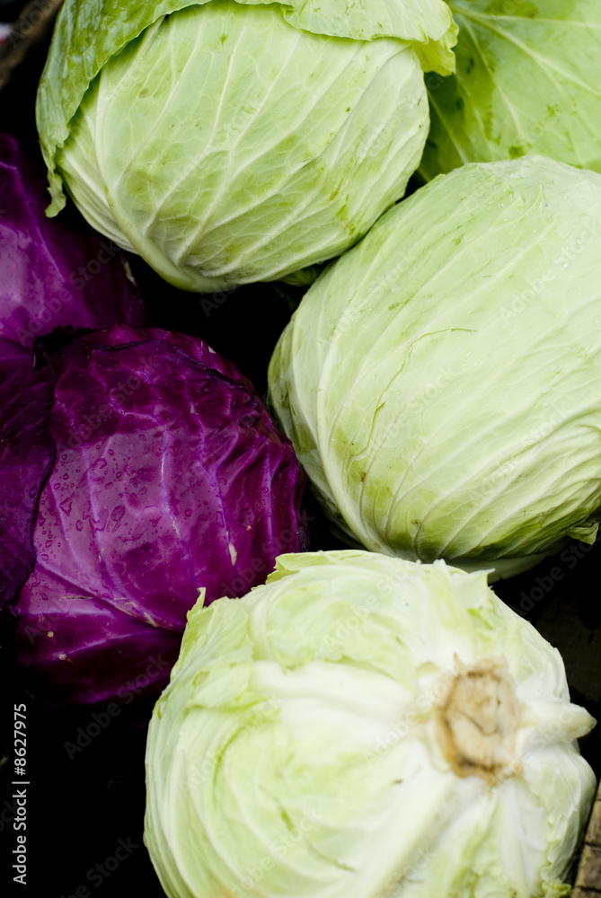 Obraz premium Green Cabbage