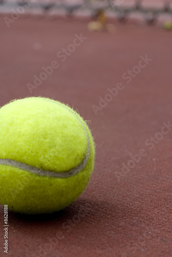 Tennis Ball © EugeneF
