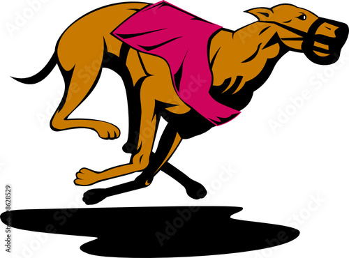 Greyhound racing
