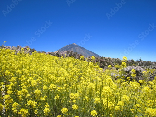 Nationalpark El Teide