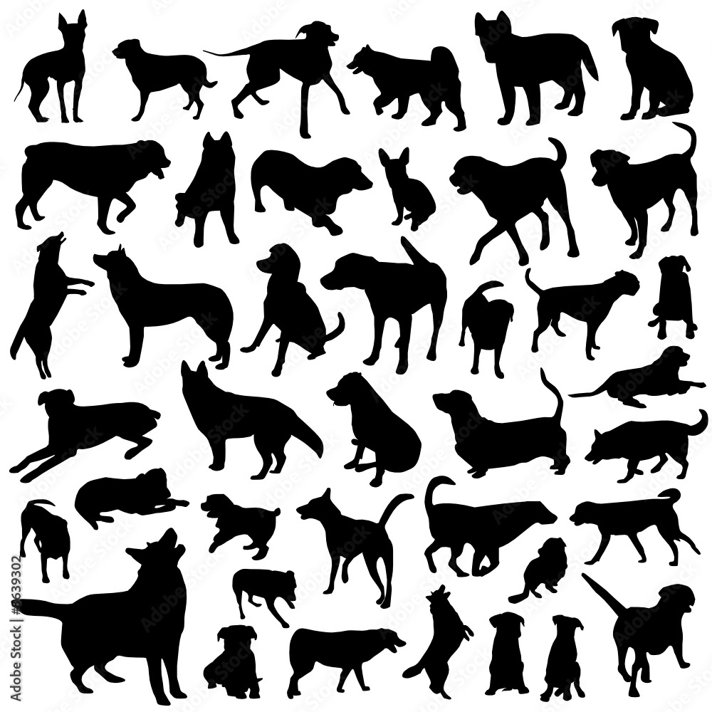 collection of dog vector