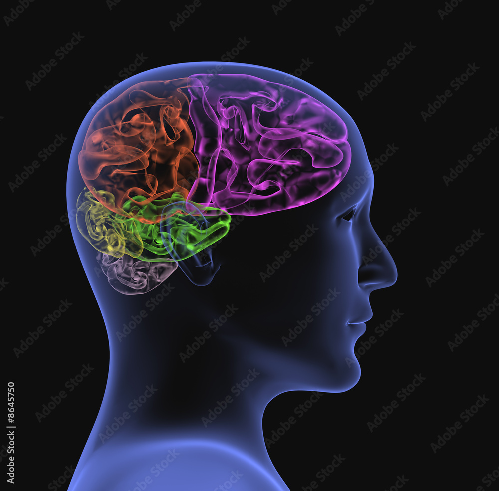 Transparent 3d head of the person - x-ray Transparent 3d head of the person - x-ray