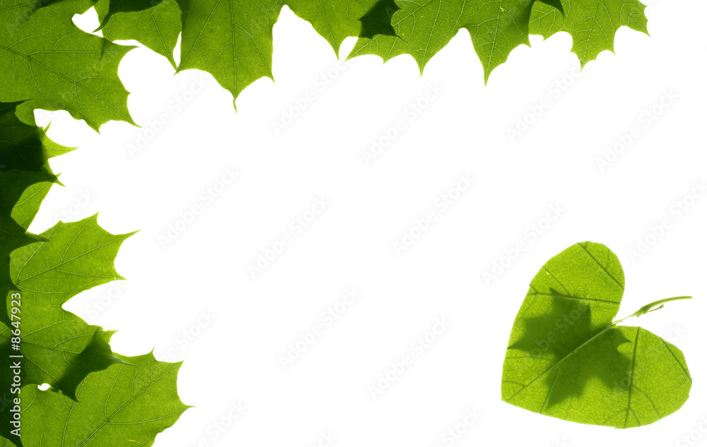 Leaf frame Leaf frame