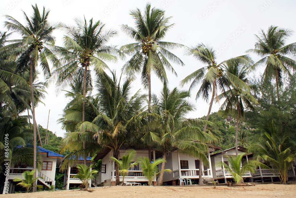 Hotel Hotel