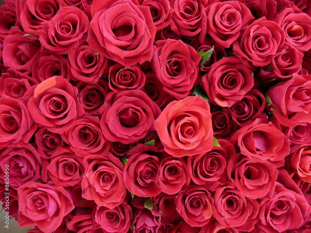 rote rosen rote rosen