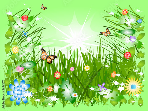 Nature scene