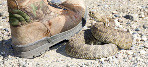 after the strike venom and blood shows on the boot of a rattlesnake victim