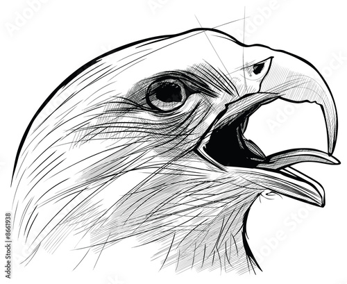 Ink drawing of the famous eagle of Langkawi island