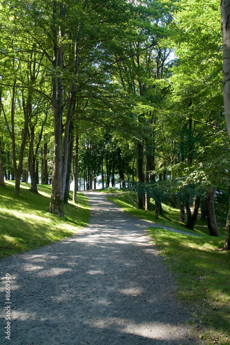 Path in the park