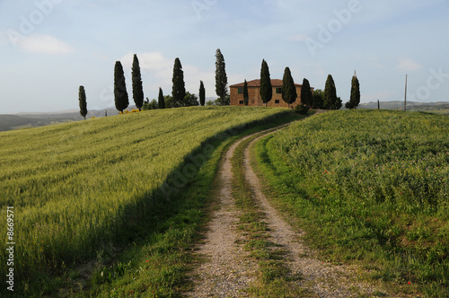 Haus mit Zypressen und Strasse Bauernhof Toscana Toskana