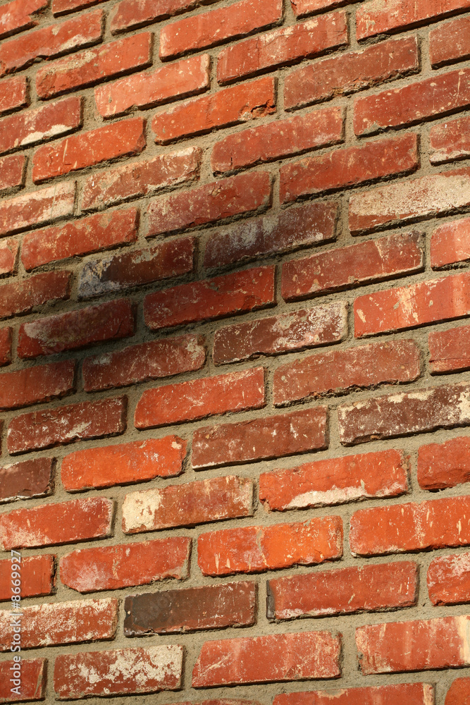 Obraz premium brick wall