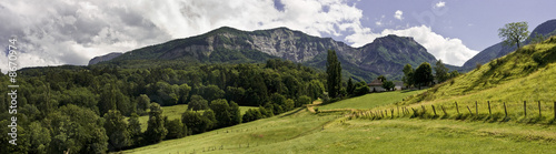 Paysage de Savoie en été