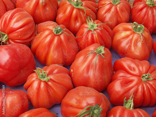 tomates "coeur de boeuf"