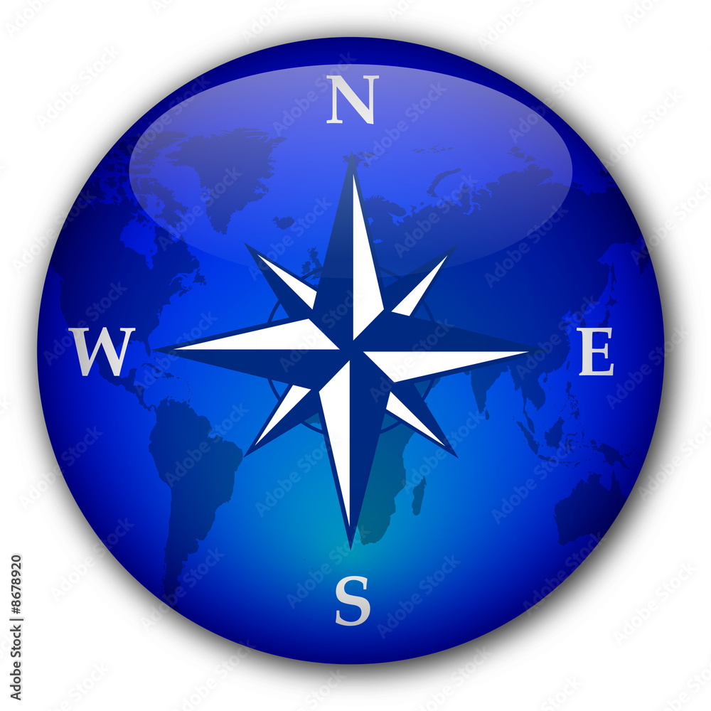 Compass button with world map inlay Compass button with world map inlay