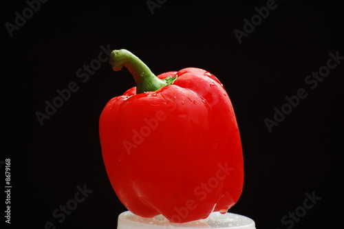 Capsicum