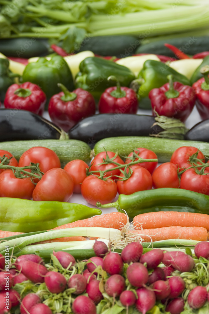 Vegetables lineup on white background