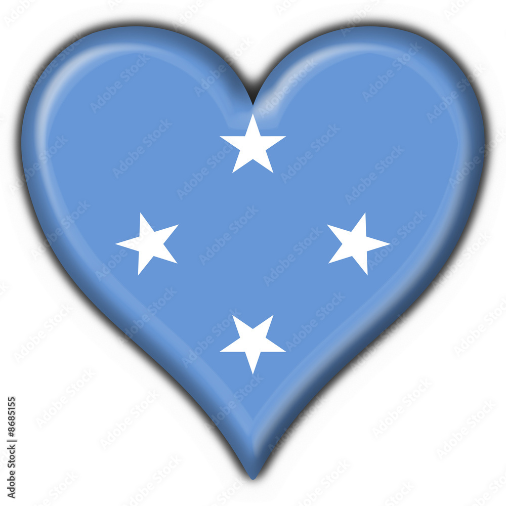 micronesia button flag round shape micronesia button flag round shape
