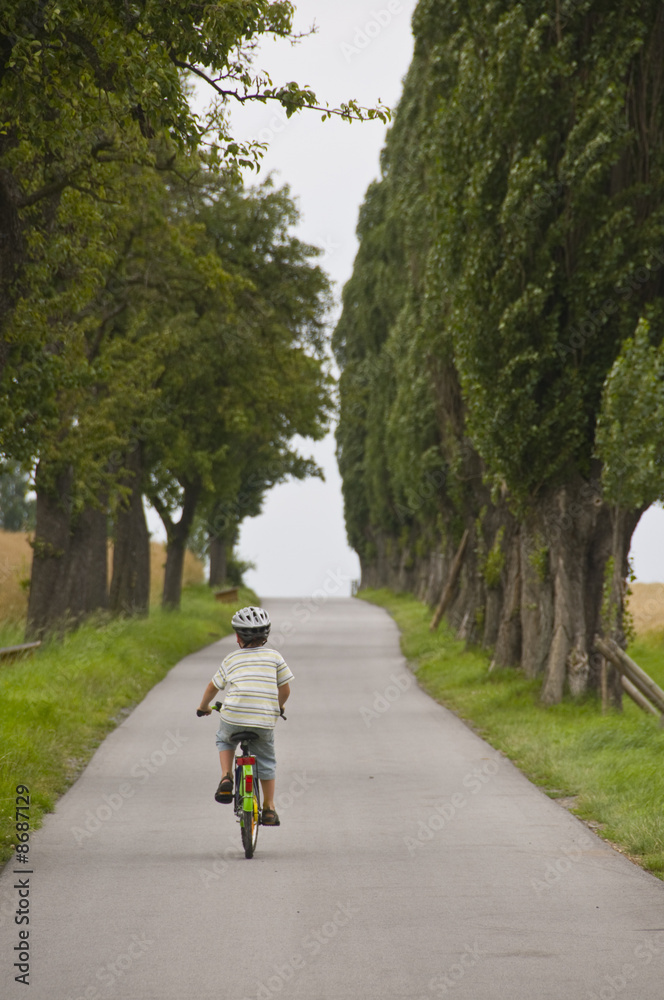 Fototapeta premium boy bicycling up tree lined road