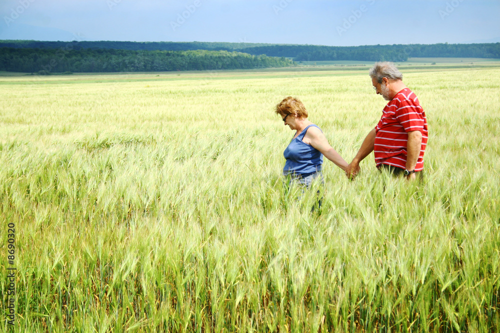 Senior couple walking in a field