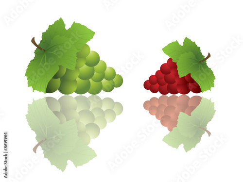 Bunches of green and red grapes with reflections