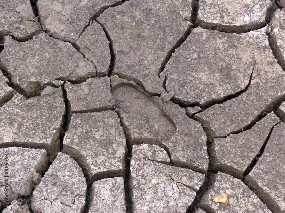 Obraz premium The dried up trace