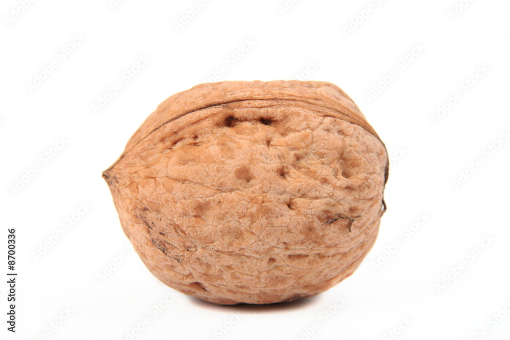 walnut isolated on white background walnut isolated on white background