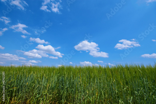 rural landscape with blue sky and clouds