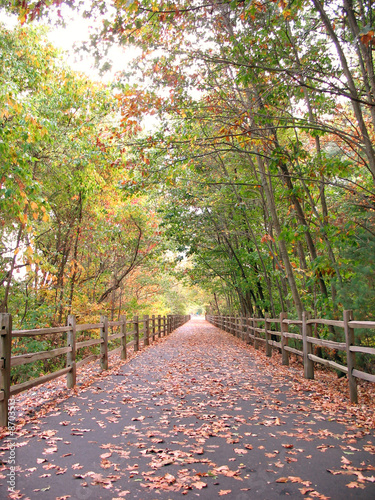 Walking Path Farmington Connecticut photo