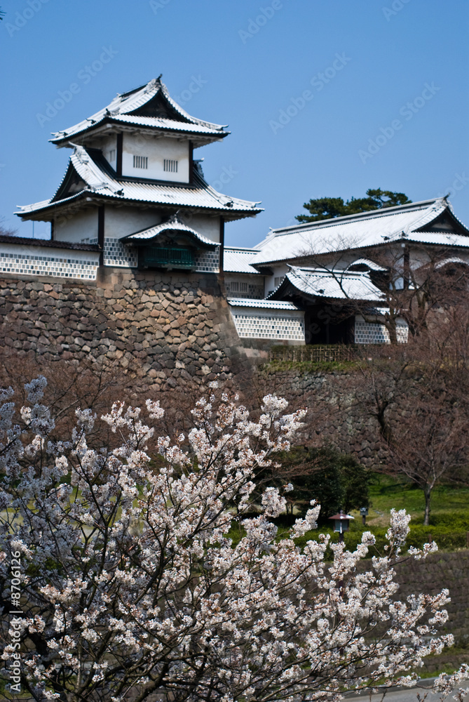 桜と金沢城（縦）