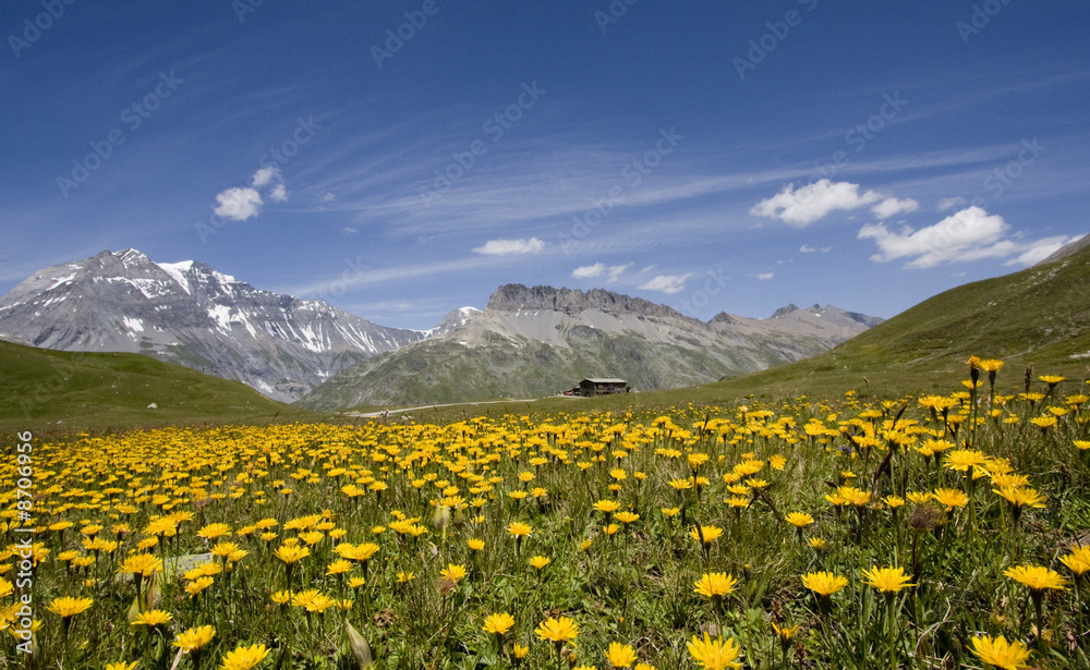 Franch alps in summer