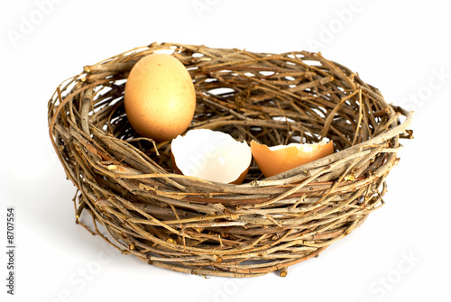 Egg in the nest