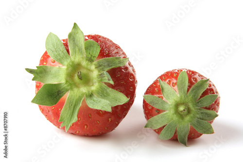 fragole