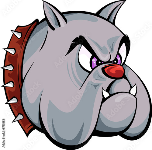 Bulldog head