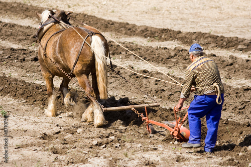 Agriculture et métier : paysan et cheval de trait au labours photo