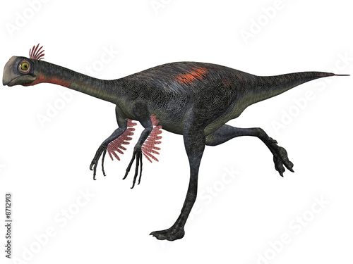 Gigantoraptor erlianensis-3D Dinosaurier © Andreas Meyer