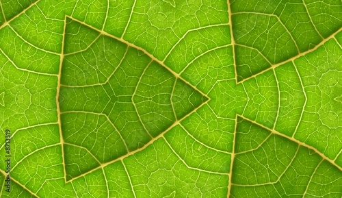 Underside Of Green Leaf Seamless Tile Background 9