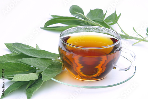 Tee Salbei - tea sage 01