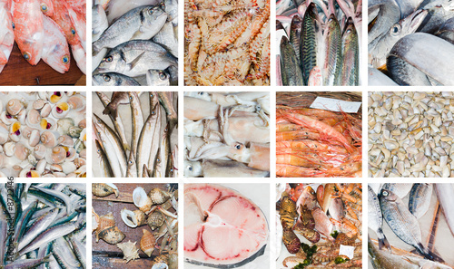 collection of images of fresh fishes photo