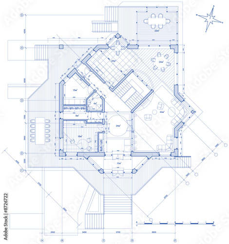 house plan: vector blueprint