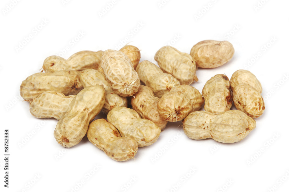 Fresh peanuts Fresh peanuts