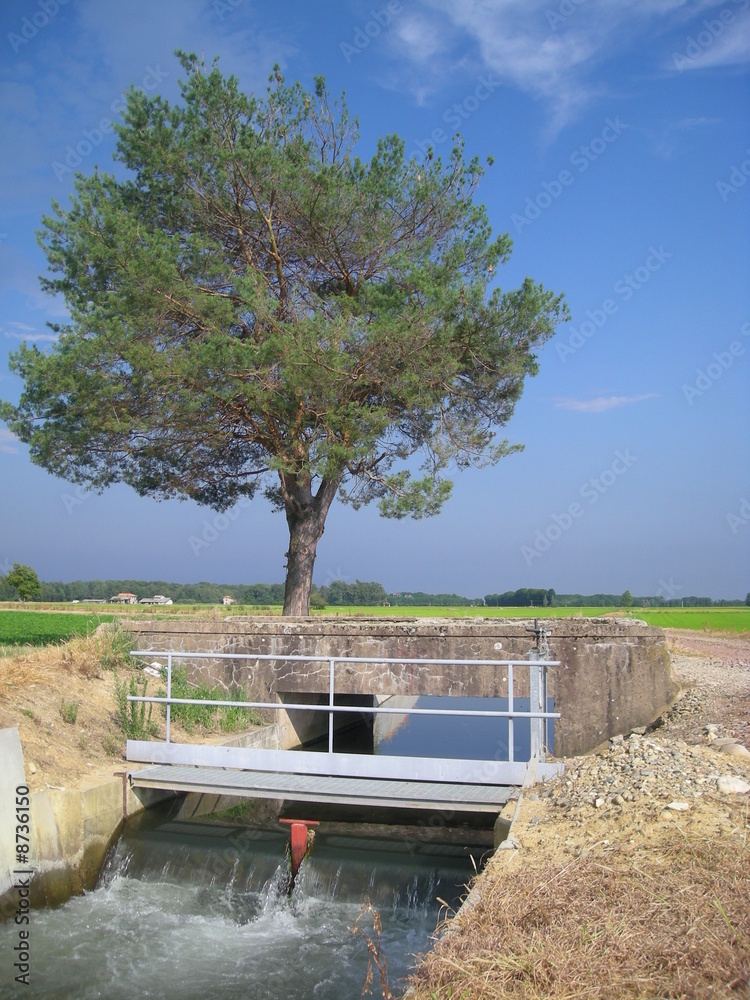 Obraz premium canale irrigazione