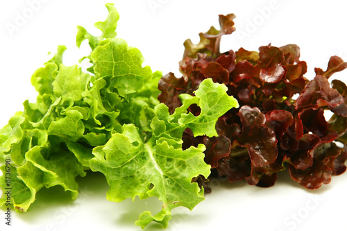 green and red lettuce