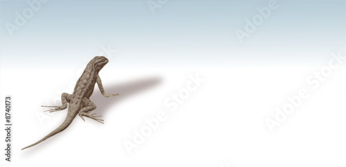 Lezard regardant l'horizon