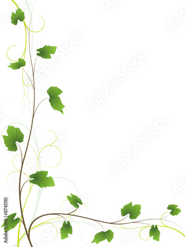 Vine floral background